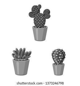 Isolated object of cactus and pot sign. Collection of cactus and cacti vector icon for stock.