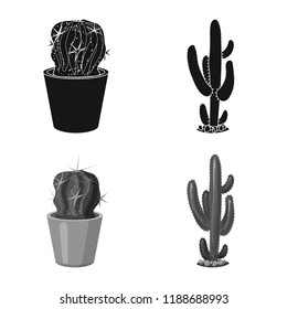 Isolated object of cactus and pot symbol. Set of cactus and cacti stock symbol for web.