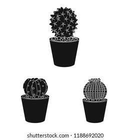Isolated object of cactus and pot symbol. Set of cactus and cacti vector icon for stock.