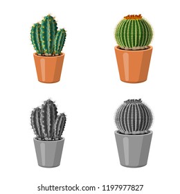 Isolated object of cactus and pot symbol. Set of cactus and cacti vector icon for stock.