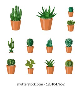 Isolated object of cactus and pot symbol. Collection of cactus and cacti stock symbol for web.