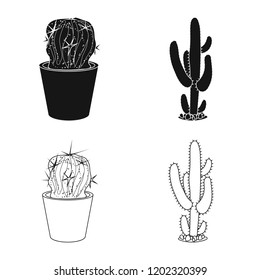 Isolated object of cactus and pot symbol. Set of cactus and cacti stock symbol for web.