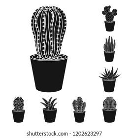 Isolated object of cactus and pot symbol. Set of cactus and cacti stock vector illustration.