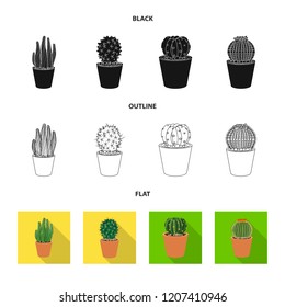 Isolated object of cactus and pot symbol. Collection of cactus and cacti stock vector illustration.