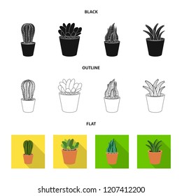 Isolated object of cactus and pot symbol. Set of cactus and cacti vector icon for stock.