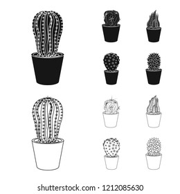 Isolated object of cactus and pot symbol. Collection of cactus and cacti stock symbol for web.