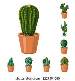 Isolated object of cactus and pot symbol. Collection of cactus and cacti stock symbol for web.