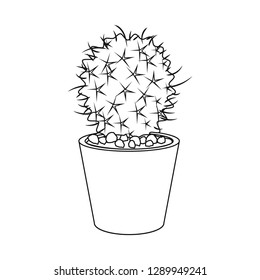 Isolated object of cactus and pot symbol. Collection of cactus and cacti stock vector illustration.