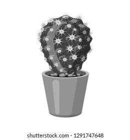 Isolated object of cactus and pot symbol. Collection of cactus and cacti vector icon for stock.