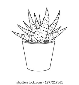 Isolated object of cactus and pot symbol. Set of cactus and cacti stock vector illustration.