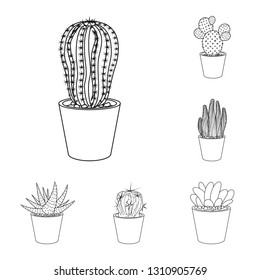 Isolated object of cactus and pot symbol. Collection of cactus and cacti stock symbol for web.