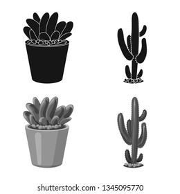 Isolated object of cactus and pot symbol. Collection of cactus and cacti stock vector illustration.
