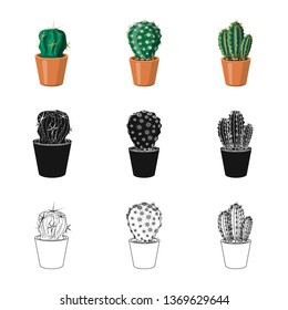 Isolated object of cactus and pot symbol. Set of cactus and cacti vector icon for stock.