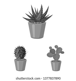 Isolated object of cactus and pot symbol. Collection of cactus and cacti stock symbol for web.