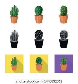 Isolated object of cactus and pot symbol. Collection of cactus and cacti stock symbol for web.