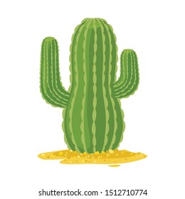 Isolated object of cactus and south logo. Web element of cactus and america stock symbol for web.