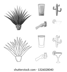 Isolated object of cafe and Latin logo. Collection of cafe and national stock vector illustration.