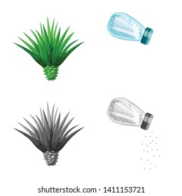 Isolated object of cafe and Latin logo. Set of cafe and national vector icon for stock.