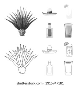 Isolated object of cafe and Latin sign. Set of cafe and national stock vector illustration.