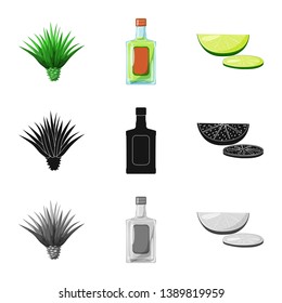 Isolated object of cafe and Latin symbol. Set of cafe and national stock vector illustration.