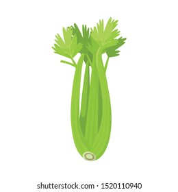 Isolated object of celery and bunch symbol. Graphic of celery and stick vector icon for Stock.