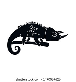Isolated object of chameleon and lizard symbol. Collection of chameleon and rainbow stock symbol for web.