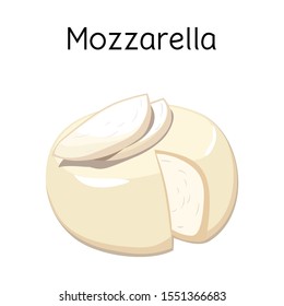 Isolated object of cheese and mozzarella icon. Web element of cheese and piece stock vector illustration.