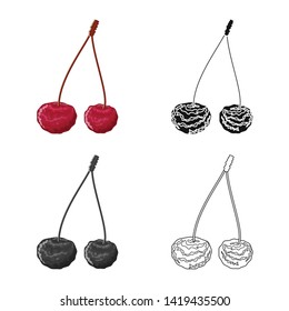Isolated object of cherry and dry icon. Set of cherry and juicy  stock vector illustration.