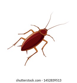 Isolated object of cockroach and pest logo. Set of cockroach and dirty vector icon for stock.