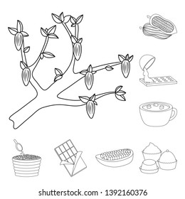 Isolated object of cocoa and beans icon. Set of cocoa and sweetness vector icon for stock.
