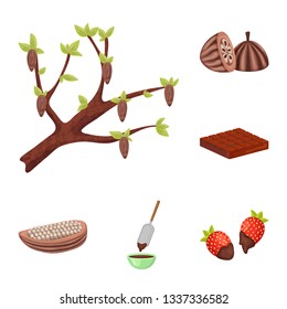 Isolated object of cocoa and beans symbol. Collection of cocoa and sweetness stock symbol for web.