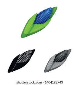 Isolated object of corn and gmo sign. Collection of corn and seed vector icon for stock.