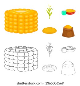 Isolated object of cornfield and vegetable icon. Collection of cornfield and vegetarian stock vector illustration.