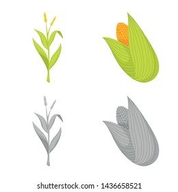 Isolated object of cornfield and vegetable icon. Collection of cornfield and vegetarian vector icon for stock.