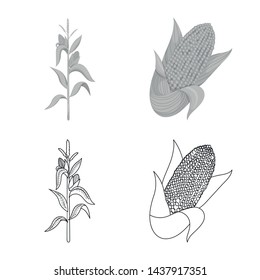 Isolated object of cornfield and vegetable icon. Collection of cornfield and vegetarian stock symbol for web.