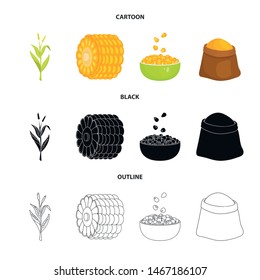 Isolated object of cornfield and vegetable icon. Set of cornfield and vegetarian vector icon for stock.