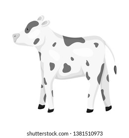Isolated object of cow and heifer icon. Set of cow and milk vector icon for stock.