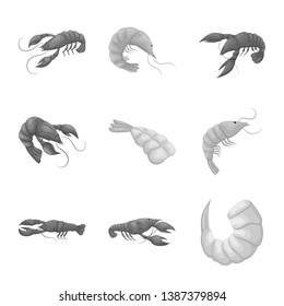 Isolated object of crab and appetizer icon. Collection of crab and sea vector icon for stock.