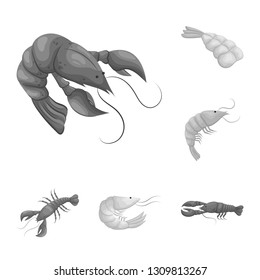 Isolated object of crab and appetizer sign. Set of crab and sea stock vector illustration.