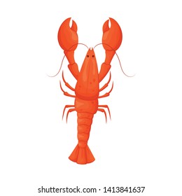Isolated object of crayfish  and lobster symbol. Collection of crayfish  and boiled stock vector illustration.