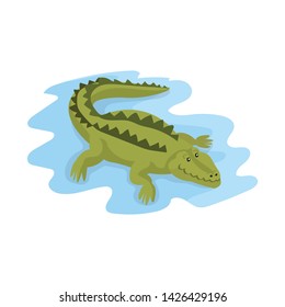 Isolated object of crocodile and alligator sign. Set of crocodile and cute stock symbol for web.