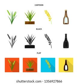 Isolated object of crop and ecological symbol. Set of crop and cooking stock symbol for web.