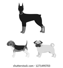 Isolated object of  cute  and  icon. Collection of  cute  and  vector icon for stock.