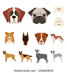 Isolated object of cute and puppy icon. Set of cute and animal stock symbol for web.