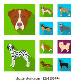 Isolated object of cute and puppy icon. Collection of cute and animal stock vector illustration.