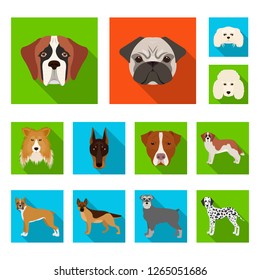 Isolated object of cute and puppy icon. Set of cute and animal stock vector illustration.