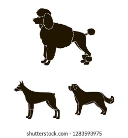 Isolated object of cute and puppy icon. Collection of cute and animal stock symbol for web.