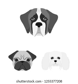Isolated object of cute and puppy logo. Collection of cute and animal stock vector illustration.