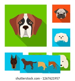 Isolated object of cute and puppy sign. Collection of cute and animal stock symbol for web.