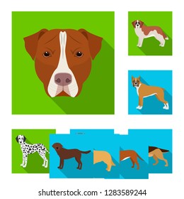 Isolated object of cute and puppy sign. Collection of cute and animal stock symbol for web.